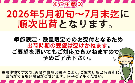 ＜宮崎県産完熟マンゴー 太陽のタマゴ 3L 合計2玉＞入金確認後、2025年7月初旬迄に順次出荷【選べる 大きさ サイズ 国産 かんじゅく とろける 果物 果実 フルーツ 南国 芳醇 甘い 旬 濃厚 