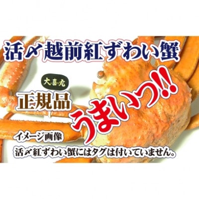 活〆 越前 紅ずわいがに × 1杯 旨味満載!! ≪浜茹で≫【2・3月発送分】【配送不可地域：離島・北海道・沖縄・東北・九州】【1330985】