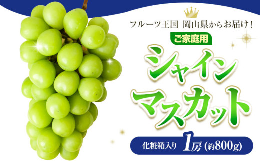 ご家庭用 フルーツ王国 岡山県産 シャインマスカット 化粧箱入り 1房 (約800g) 【先行予約】 Lino ＆ Kai Farm《2026年10月上旬-11月中旬頃出荷》マスカット 送料無料 岡山県 浅口市 シャインマスカット 岡山 ぶどう フルーツ 果物 st-p