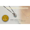 【ふるさと納税】 PT ダイヤ0.3ct ペンダントネックレス | ダイヤモンド ピアス プラチナ ダイヤ ジュエリー ピアス レディース アクセサリー プレゼント 楽天ふるさと 納税 愛媛県 愛媛 松山市 クリスマス クリスマスプレゼント クリスマスギフト