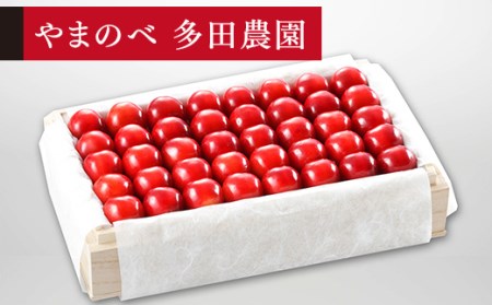 ≪2025年 先行予約≫さくらんぼ 特選紅秀峰 桐箱詰 約700g「やまのべ多田農園」 F2Y-1393