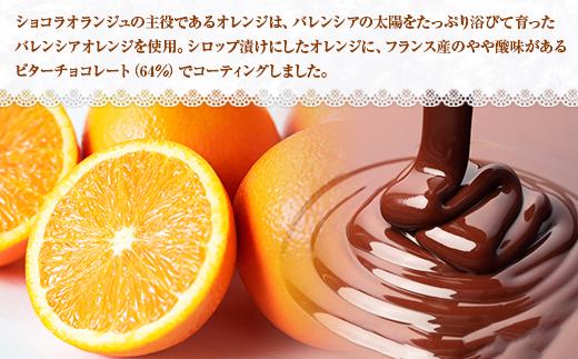 無地熨斗 ショコラオランジュ 計5枚 チョコレート ビターチョコ ショコラ オレンジ オランジュ コーティング 洋菓子 お菓子 手土産 スイーツ 贈り物 ギフト 熨斗 のし 贈答用 新潟県 南魚沼市