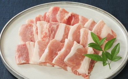 バラエティ美味 焼肉セット 牛肉 豚肉 鶏肉 1.1kg 006-J1852