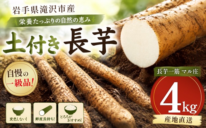 北の大地で育った立派な長芋を発送します！