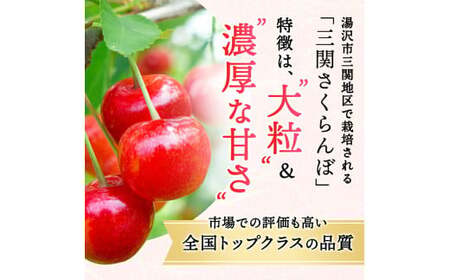 三関産 さくらんぼ 紅秀峰 500g (250g×2) 2L以上 さくらんぼ 秋田県産 小分け さくらんぼ 佐藤錦 さくらんぼ バラ詰め さくらんぼ フルーツ さくらんぼ[B5-14602]