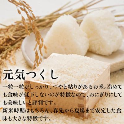 ふるさと納税 田川市 新米!!令和6年産 福岡県産米 元気つくし 合計20kg(5kg×4袋)(田川市) |  | 01