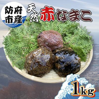 ふるさと納税 防府市 【先行受付】防府市産天然赤なまこ1kg
