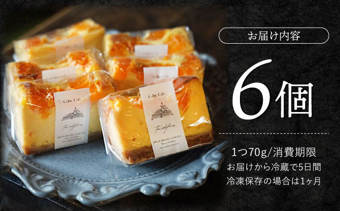 西海みかんのチーズケーキ 6個＜自然と暮らす　ぐりーん＞ [CEM007]