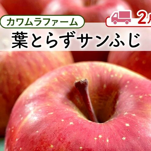 りんご 【 2月発送 】カワムラファーム 贈答用 葉とらず サンふじ 約6kg 【 弘前市産 青森りんご 】 青森 弘前
