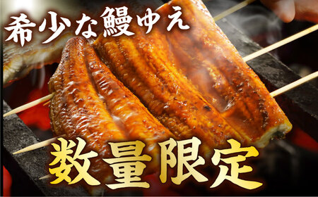 【3回定期便】【訳あり】国産鰻（100g×3尾）魚 うなぎ ウナギ 土用の丑の日 訳あり 鰻 国産 広川町 / イールファクトリー株式会社[AFBS010]