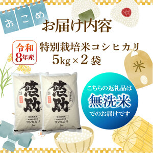 【先行予約】令和8年産 無洗米 コシヒカリ 10kg コシヒカリ コシヒカリ kwsMKH
