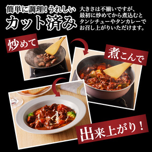 牛タン特製ガーリックオイル漬け ／ 牛タン 【A137】