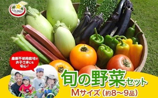 旬の野菜セット Mサイズ 約8~9品 季節の野菜 野菜 詰合せ 農薬不使用 新鮮 鮮度 産地直送 農業 土 料理 甘い 美味しい 採れたて トマト 新玉ねぎ じゃがいも キャベツ 白菜 お取り寄せ 春 夏 秋 冬 ベジライフ 千葉県我孫子市
