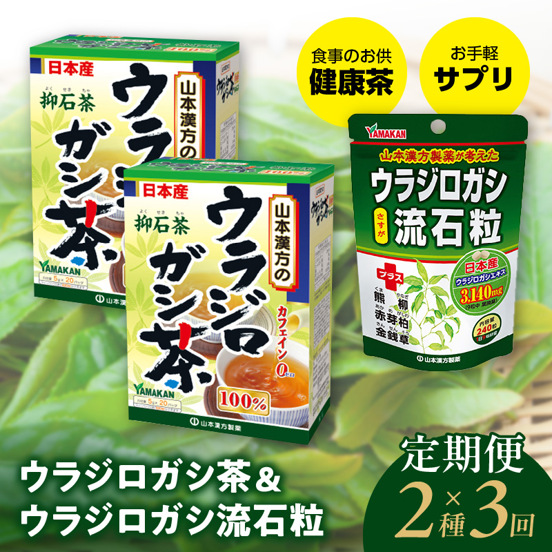 ＜3ヶ月連続定期便＞ウラジロガシ茶＆ウラジロガシ 流石粒[027Y32-T]