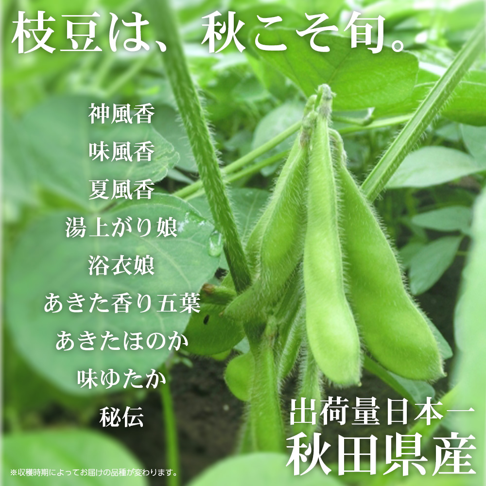 秋田県大館市産「旬の枝豆」5kg　115P3201