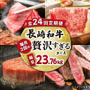 【ふるさと納税】【24回定期便】長崎和牛毎月2回の贅沢すぎるコース（焼肉・鍋・ハンバーグ・ステーキ）総量約23.76kg / 牛肉 ハンバーグ モモ ロース 肩ロース リブロース すき焼き しゃぶしゃぶ 焼肉 焼き肉ステーキ / 大村市 / おおむら夢ファームシュシュ[ACAA105]