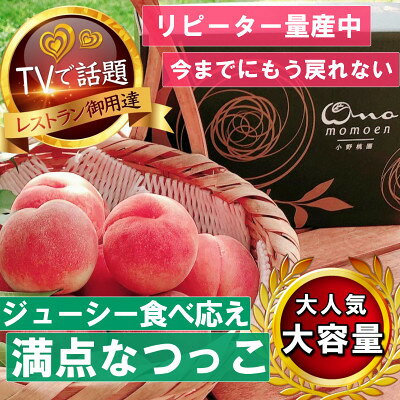 【ふるさと納税】《大玉ジューシーなつっこ》人気品種指定ギフト5年連続TV出演話題ブランド2026年8月上旬発送【配送不可地域：離島・北海道・沖縄県・中国・四国・九州】【1465286】