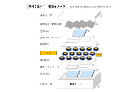 (1407)殻付きウニ 訳あり15個 訳アリ 小サイズ生うに 雲丹 (1個約5cm未満) 長門市 ムラサキウニ