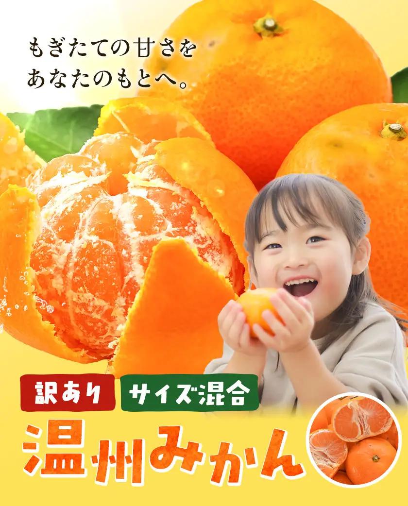 訳あり みかん 温州 みかん ご家庭用 約5kg エイワ商店