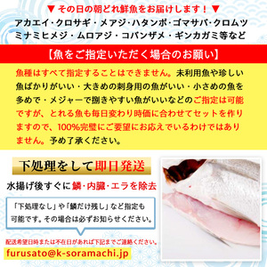 【A78004】漁師厳選！ロコフィッシュ(地魚) 下処理済 鮮魚 ボックス(約4～5kg)地魚 魚 お魚 冷蔵 生もの 加工品 未利用魚 低利用魚 焼き魚 焼魚 刺し身 刺身 煮魚 届くまでのお楽しみ