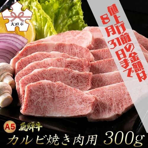 【ふるさと納税】【9/1より値上げ】 A5飛騨牛カルビ焼肉用 300g（2人前） 霜降り BBQ バーベキュー 飛騨牛 牛肉 肉 黒毛和牛 希少部位 国産 厳選 ブランド牛 お取り寄せ 高級 岐阜県 大垣市