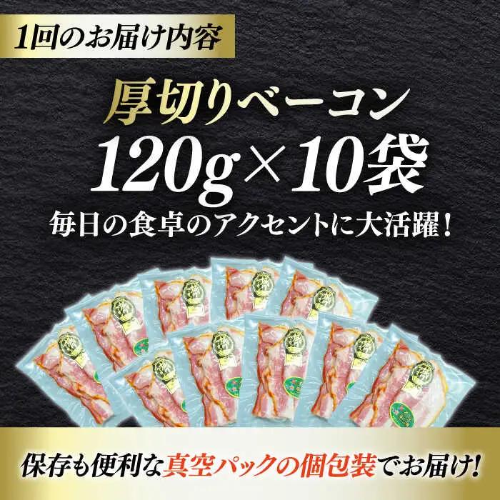 ベーコン【全6回定期便】スライス 120g×10個 ベーコン[AGAZ032]