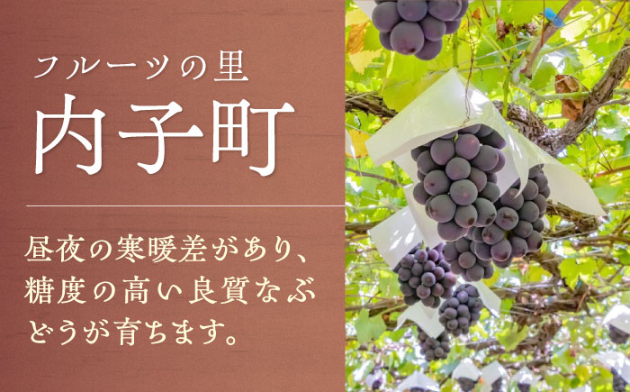 内子夢わいん ロゼ（巨峰） 約720ml 1本 / ワイン ロゼワイン わいん wine お酒 酒 洋酒 愛媛県 愛媛 内子町 国産ワイン 日本ワイン 果実酒 送料無料 人気 家飲み 宅飲み 美味しい