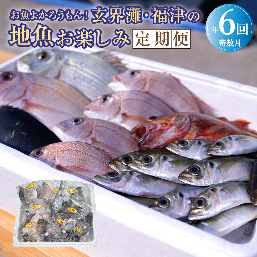 【ふるさと納税】【年6回奇数月定期便】お魚よかろうもん！玄界灘・福津の地魚お楽しみ定期便 【冷凍】【随時開始】 玄界灘 福津市 九州産 国産 サザエ 地魚 海鮮 海の幸 魚介 魚介類 旬の魚 おまかせ 冷凍 送料無料 [G7015]