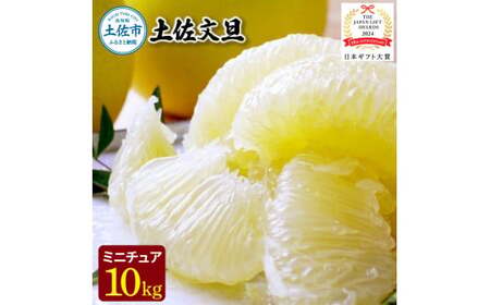土佐文旦 ミニチュアミラクル 10kg 家庭用 超小玉 先行予約 文旦[BQAC028]