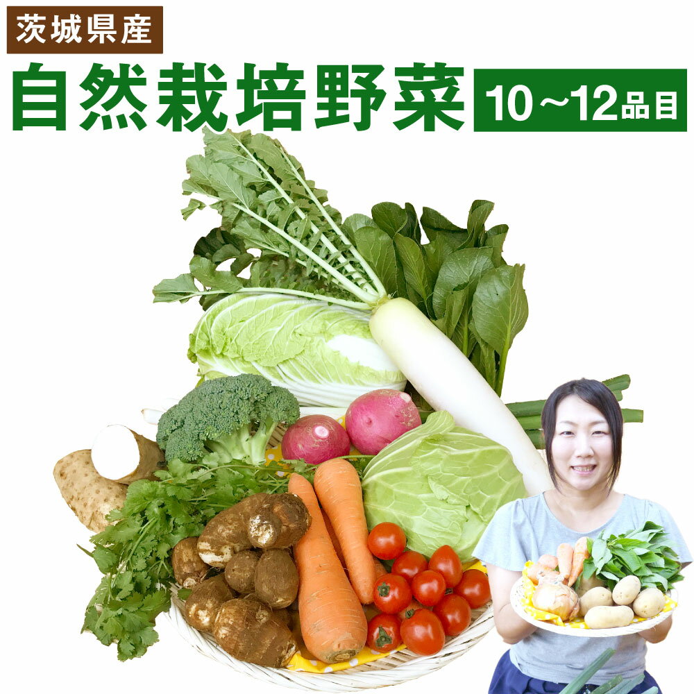【ふるさと納税】 野菜 自然栽培 季節の野菜 旬 詰め合わせ 野菜詰め合わせ セット 国産 産地直送 送料無料 野菜 茨城県共通返礼品 茨城県産 茨城県 鹿嶋市