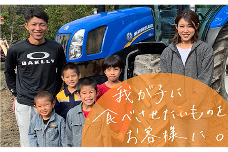 【令和6年産新米】米旋風 ミルキークイーン 10kg（5kg×2）《糸島》【百笑屋】[ABF002] お米 10kg 10キロ 送料無料 ギフト 米 白米 米10キロ 米10kg ご飯 ミルキークィー