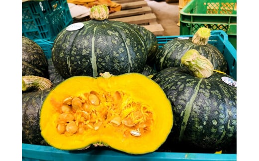 野菜セット 【2025年10月上旬～2026年1月下旬発送予定】 かぼちゃ カボチャ ジャガイモ じゃがいも にんにく セット 野菜 北海道 北広島市