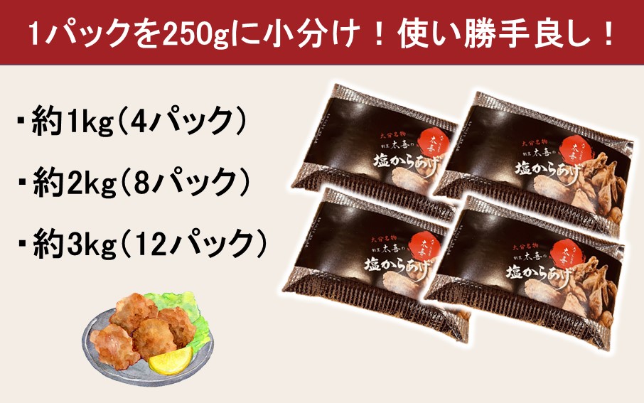 からあげグランプリ金賞受賞！選べる容量 塩からあげ1kg_2660R-1