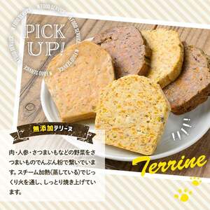 a1091-C ＜保存料・着色料 不使用＞愛犬用無添加テリーヌ レトルトパック 7種セット 計21袋(1袋約100g・合計約2.1kg)【Nフードサービス】姶良市 牛 豚 鶏 鹿 馬 魚 ダチョウ テ