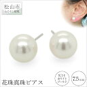 【ふるさと納税】 K14 ホワイトゴールド 花珠真珠 ピアス 鑑別書つき （7.5mm） アクセサリー パール ピアス ジュエリー 真珠 アクセサリー ジュエリー ピアス パール 花珠真珠 ピアス 愛媛県 松山市