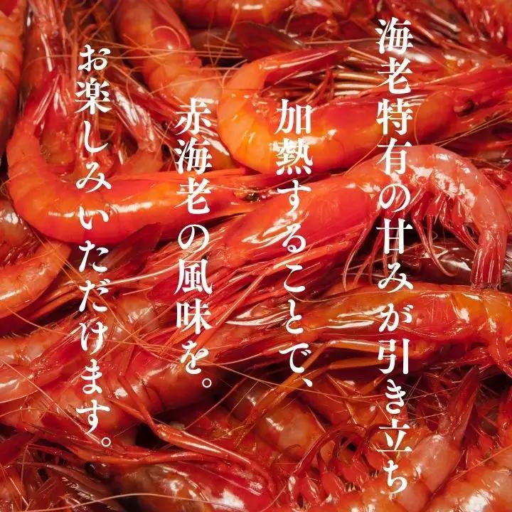 赤海老 塩こうじ漬け