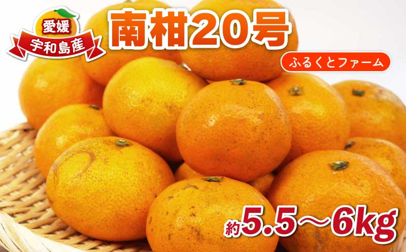 
                  南柑20号 5.5kg ~ 6kg サイズミックス ふるくとファーム  かなこちゃんち 先行予約 温州みかん 果物 くだもの フルーツ 柑橘 みかん 蜜柑 mikan 愛媛ミカン 愛媛蜜柑 愛媛みかん 農家直送 産地直送 数量限定 国産 愛媛 宇和島 B015-037009
                