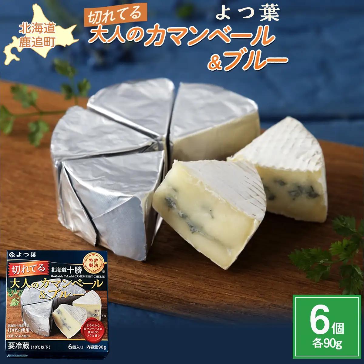 北海道十勝産 よつ葉切れてる大人のカマンベール＆ブルー6個 【 ギフト セット 北海道産 十勝  送料無料 】 SKA034