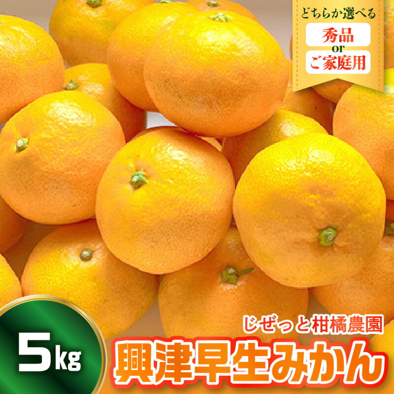 【ふるさと納税】先行予約 甘さ と 酸味 が丁度いい！ 濃厚 興津早生 みかん 5kg 選べる 秀品 / 家庭用 温州みかん ミカン 蜜柑 柑橘 果物 フルーツ サイズ混合 糖度 甘み おいしい 産地直送 お取り寄せ 常温 送料無料 先行受付 広島県 呉市 【2026年11月上旬〜発送】