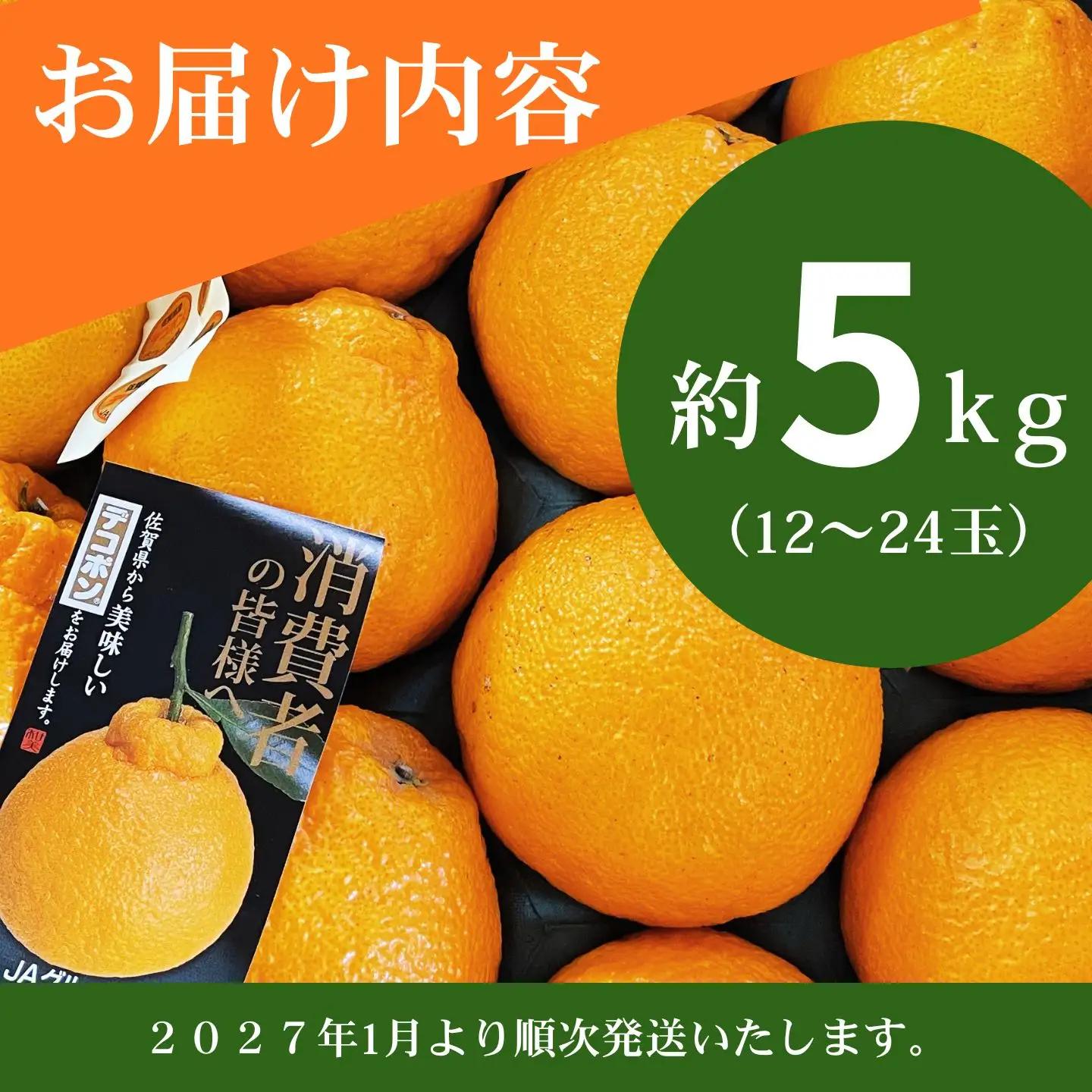 デコポン 佐賀みかん デコポン不知火 B195-006