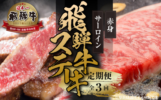 飛騨牛 定期便 全3回 毎月 ステーキ 赤身ステーキ 400g 100g×4 サーロインステーキ 400g 200g×2枚 冷凍 真空パック ｜ 3回定期便 飛騨牛 定期便 牛肉 定期便 定期便 肉 定期便 牛肉 飛騨牛 ステーキ 飛騨牛 サーロインステーキ ステーキ サーロイン ステーキ 赤身 牛肉 ステーキ 和牛 黒毛和牛 国産牛 飛騨牛 牛肉 世界遺産 白川郷 [MZ107]