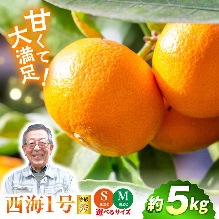 【ふるさと納税】【11月上旬より順次発送☆数量限定】西海1号（温州みかん）約 5kg（秀品/Mサイズ）＜西海柑橘農業協同組合＞ [CCF005] みかん 柑橘 果物 訳あり 早生 甘い スイーツ ビタミン補給 ブランドみかん ギフト 贈り物 贈答
