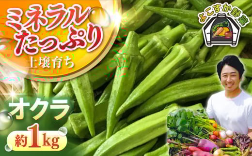 オクラ 約1kg 野菜 やさい 【鈴也ファーム】 [AKCE023]