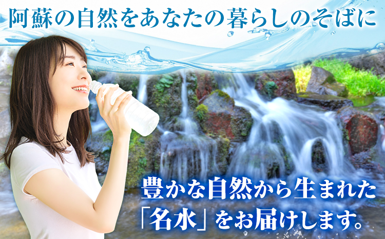 阿蘇の名水 500mL×24本 計12L 九州ネクスト株式会社《30日以内に出荷予定(土日祝除く)》 熊本県 南阿蘇村 白川水源 水 ペットボトル ミネラルウォーター 飲料水 備蓄水 湧水---sms