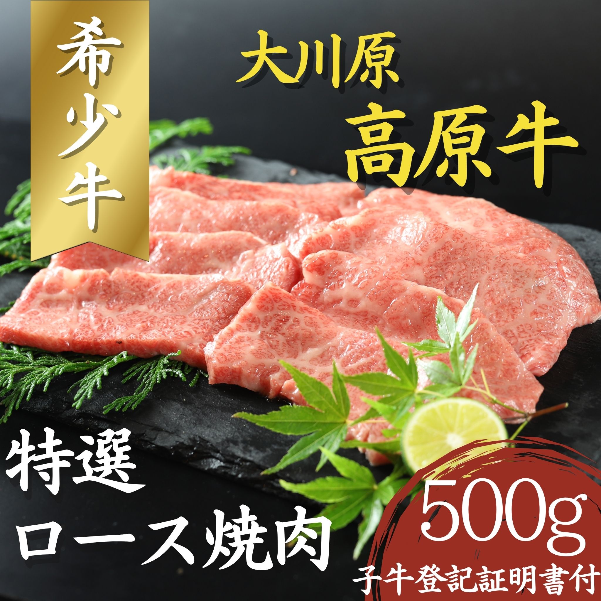 【年間10頭！】大川原高原牛 特選ロース 焼肉 500g 冷凍便 肉の藤原 《30日以内に出荷予定(土日祝除く)》和牛 希少 大川原高原 牛肉 焼肉  ロース  贅沢  バーベキュー BBQ  キャンプ ギフト 贈答 徳島県 佐那河内村 s-23