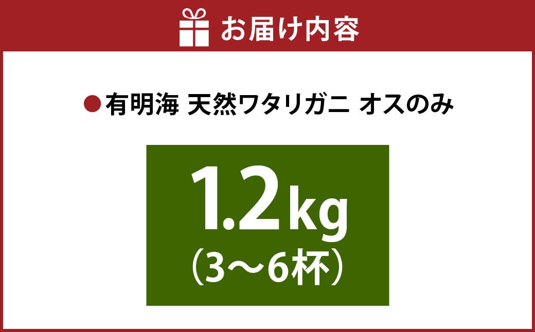天草産 天然ワタリガニ オスのみ 1.2kg 3～6杯