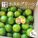 【ふるさと納税】＜先行予約受付中！2025年8月上旬から順次発送＞ 串間市都井「石上農園」自慢のホタル グリーンハウスミカン 5kg（S・2Sサイズ約60個）【石上農園】【AF-A1】