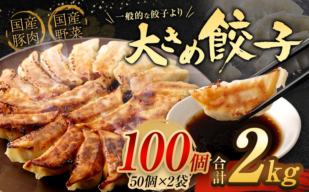 【国産冷凍生餃子】 大きめ餃子 100個 合計約2kg