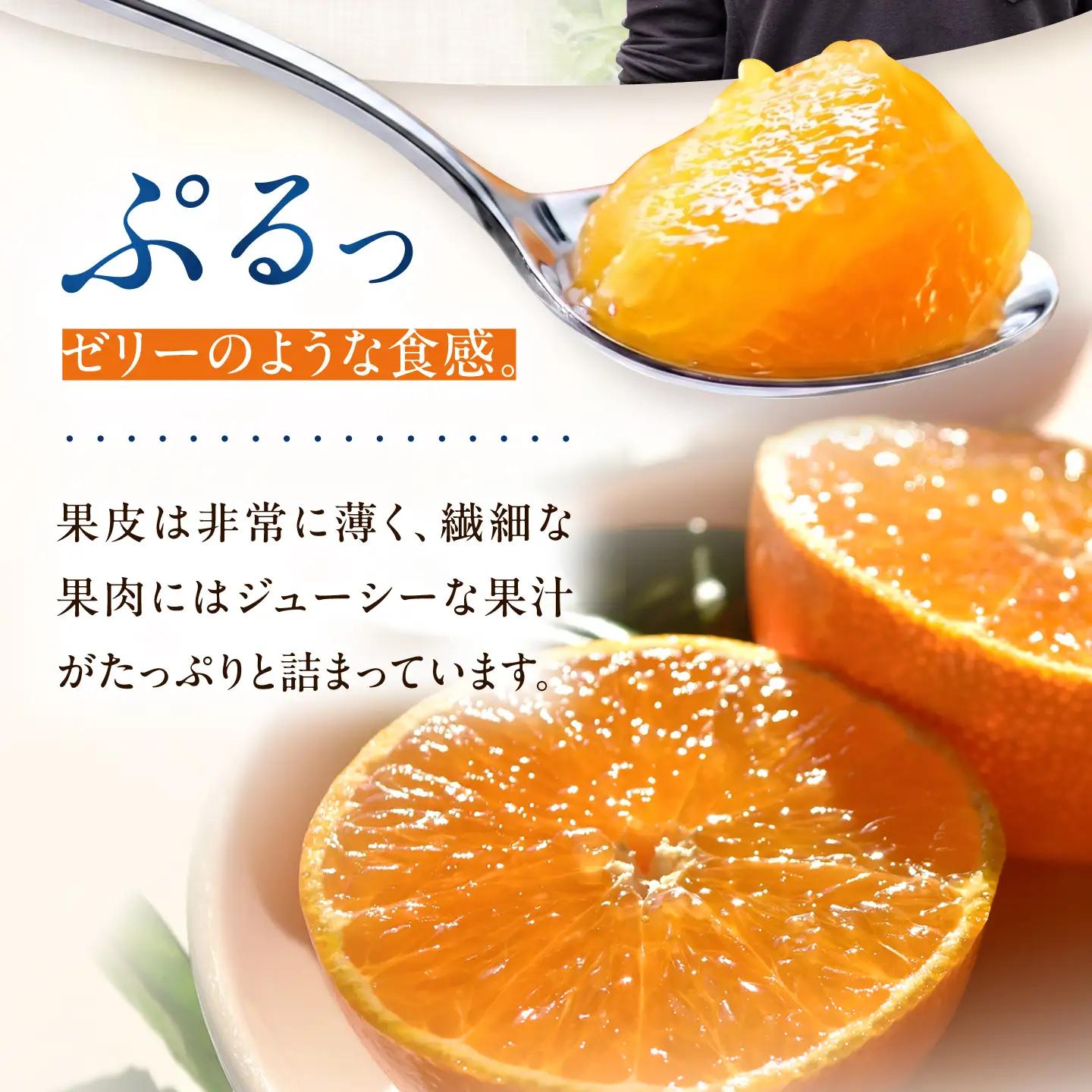 みかん 紅まどんな 約2kg【11月中旬から12月下旬まで順次発送】/ フルーツ 果物 柑橘 蜜柑 ミカン オレンジ まどんな マドンナ 紅マドンナ 砥部まどんな 愛果28号 約2kg 甘い 先行予約