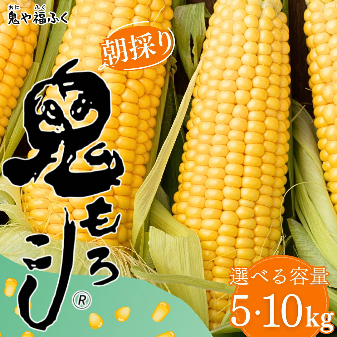 【ふるさと納税】鬼もろこし 選べる容量 5kg 11-13本入 10kg 23-25本入り | 朝 朝採れ とうもろこし スイートコーン トウモロコシ スィートコーン すいーとこーん 採れたて 新鮮 旬 産地直送 津南町 鬼や福ふく